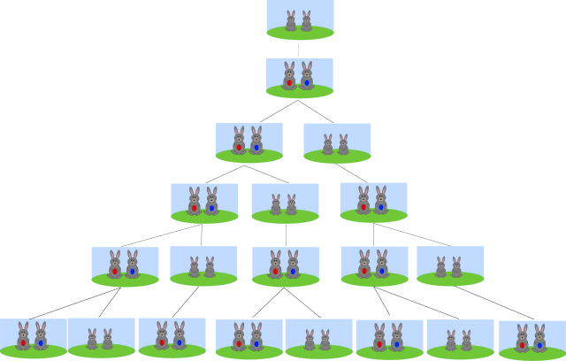 <https://commons.wikimedia.org/w/index.php?curid=11104228>